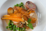 Partridge