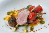 Spring Lamb