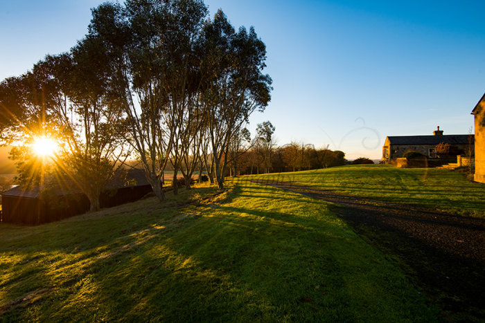 Long Shadows