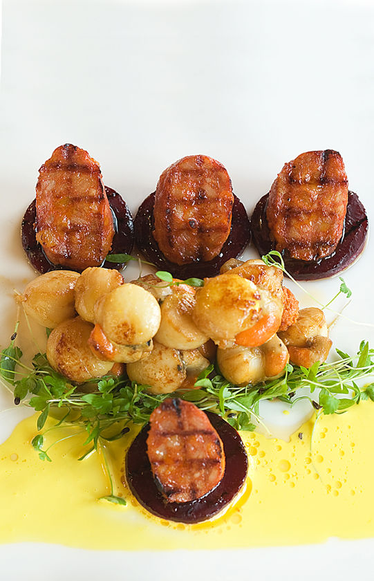 Scallops