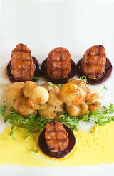 Scallops