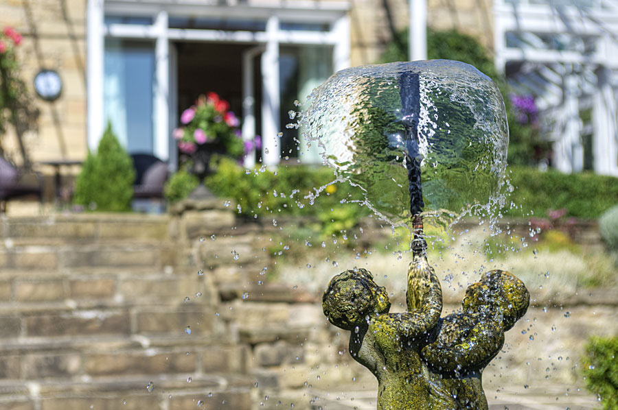 Splash