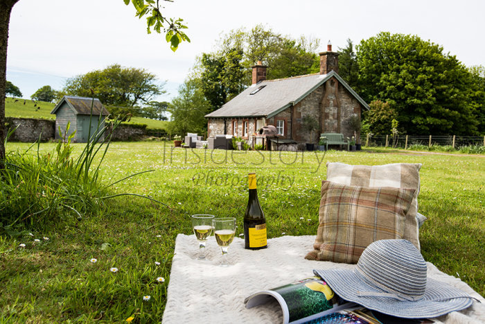 Afternoon Picnic