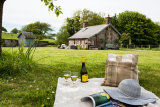 Afternoon Picnic