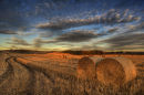Hay Bales