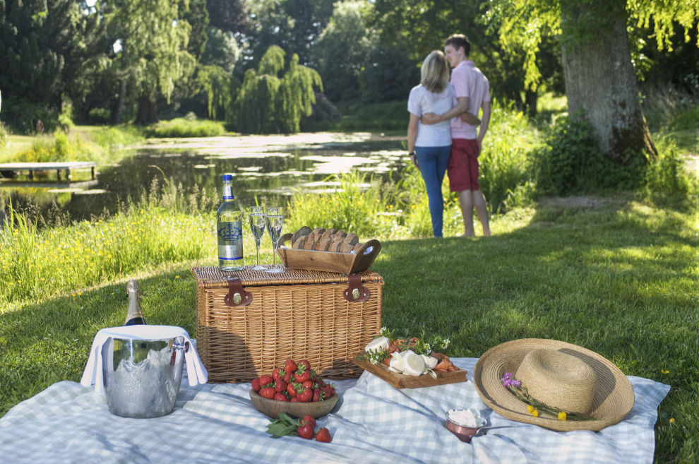 Romantic Picnic
