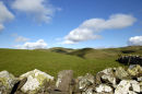 The Cheviots
