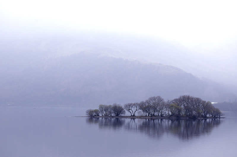 Morning Mist