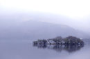 Morning Mist