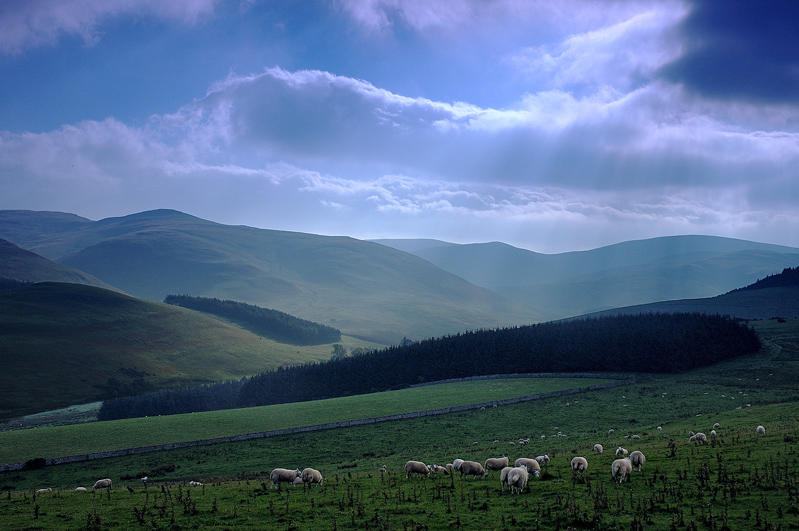 The Pennines