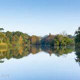 Autumn Lake