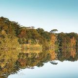 Autumn Reflections