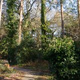 Creekmoor Woods 001