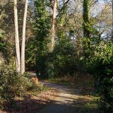 Creekmoor Woods 002