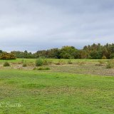 Open Space