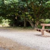 Place To Rest