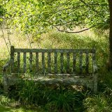 Quiet Place