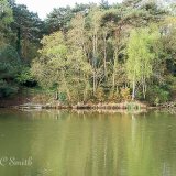 View of a Lake