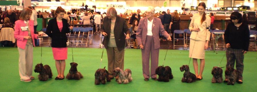 Team Ridley at Crufts