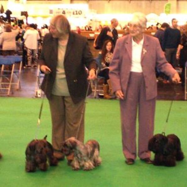 Team Ridley at Crufts