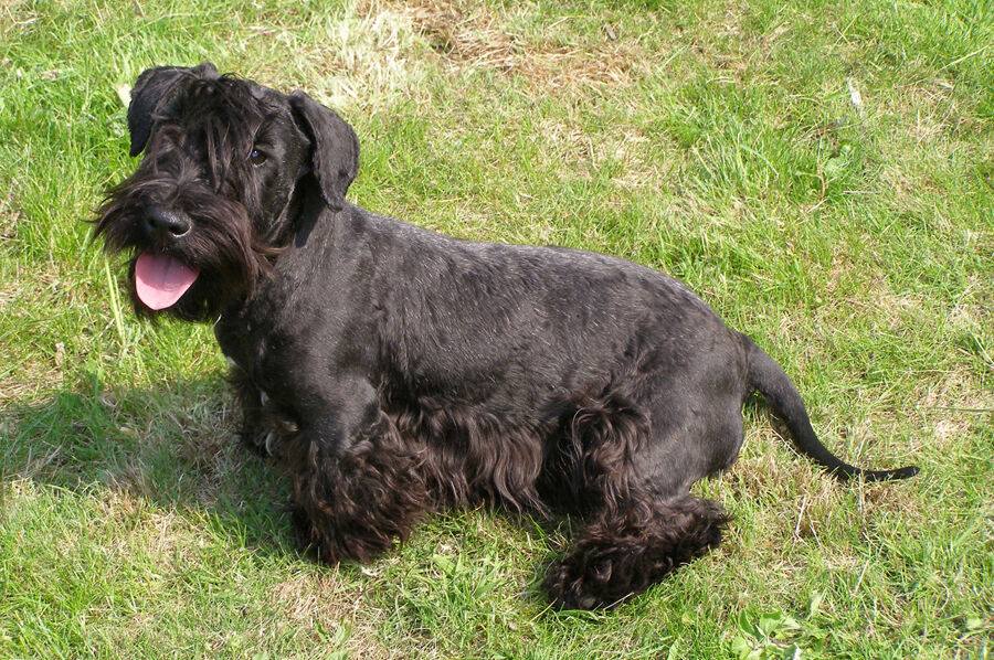Pamatka