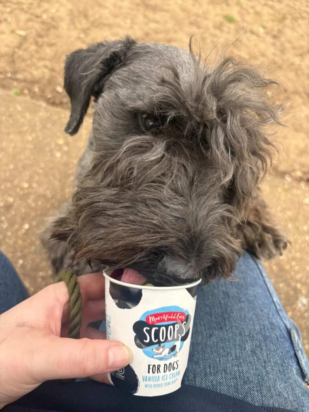 Hector