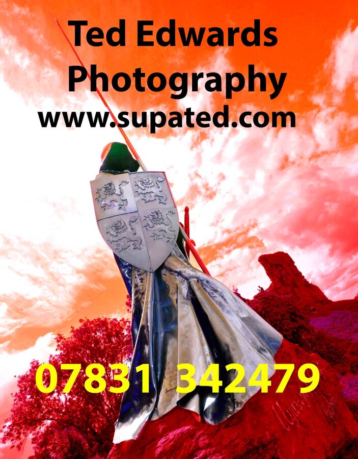 supated.com logo