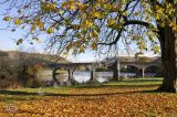 Builth Wells Online