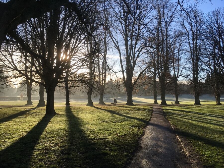 January, Rothamsted Park, Harpenden