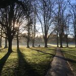 January, Rothamsted Park, Harpenden