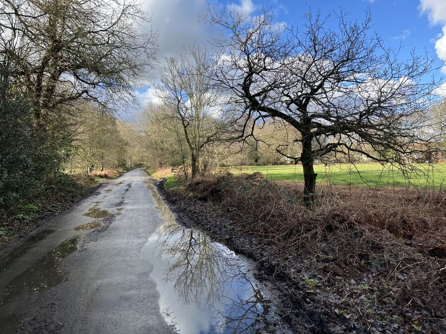 Reflections After Rain, Eastmoor Park, Harpenden