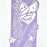 Butterfly & Lavender