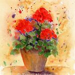 Geraniums in a Pot