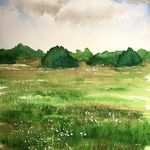 Harpenden Common, Midsummer