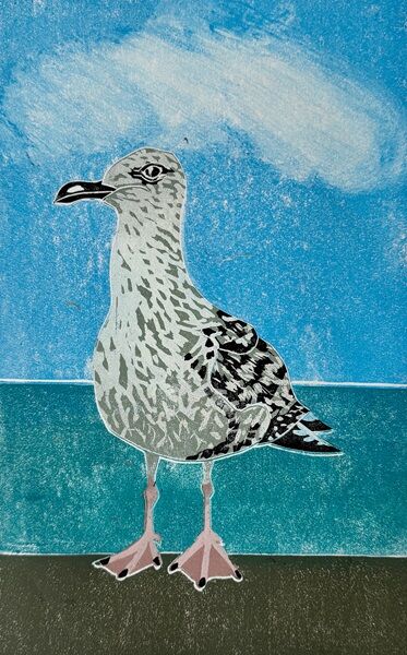 Juvenile Herring Gull