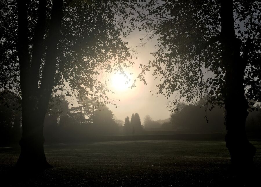 October Morning, Rothamsted Park, Harpenden