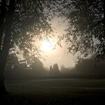 October Morning, Rothamsted Park, Harpenden