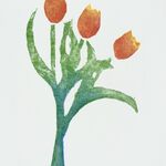 Orange Tulips