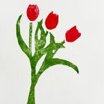 Red Tulips