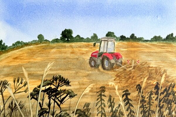 Turning the Hay (Cross Farm)