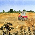 Turning the Hay (Cross Farm)