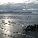 Beach, Ballinskelligs, Co. Kerry, Ireland