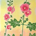 Late Summer Hollyhocks