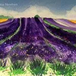 Lavender Fields II