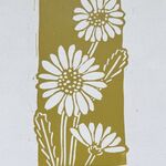 Ox Eye Daisies
