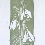 Snowdrops