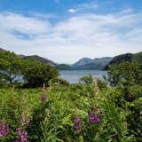 ennerdale water