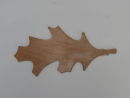 oak leaf