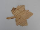 SYCAMORE LEAF