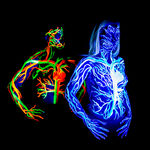 Bodypaint-4691